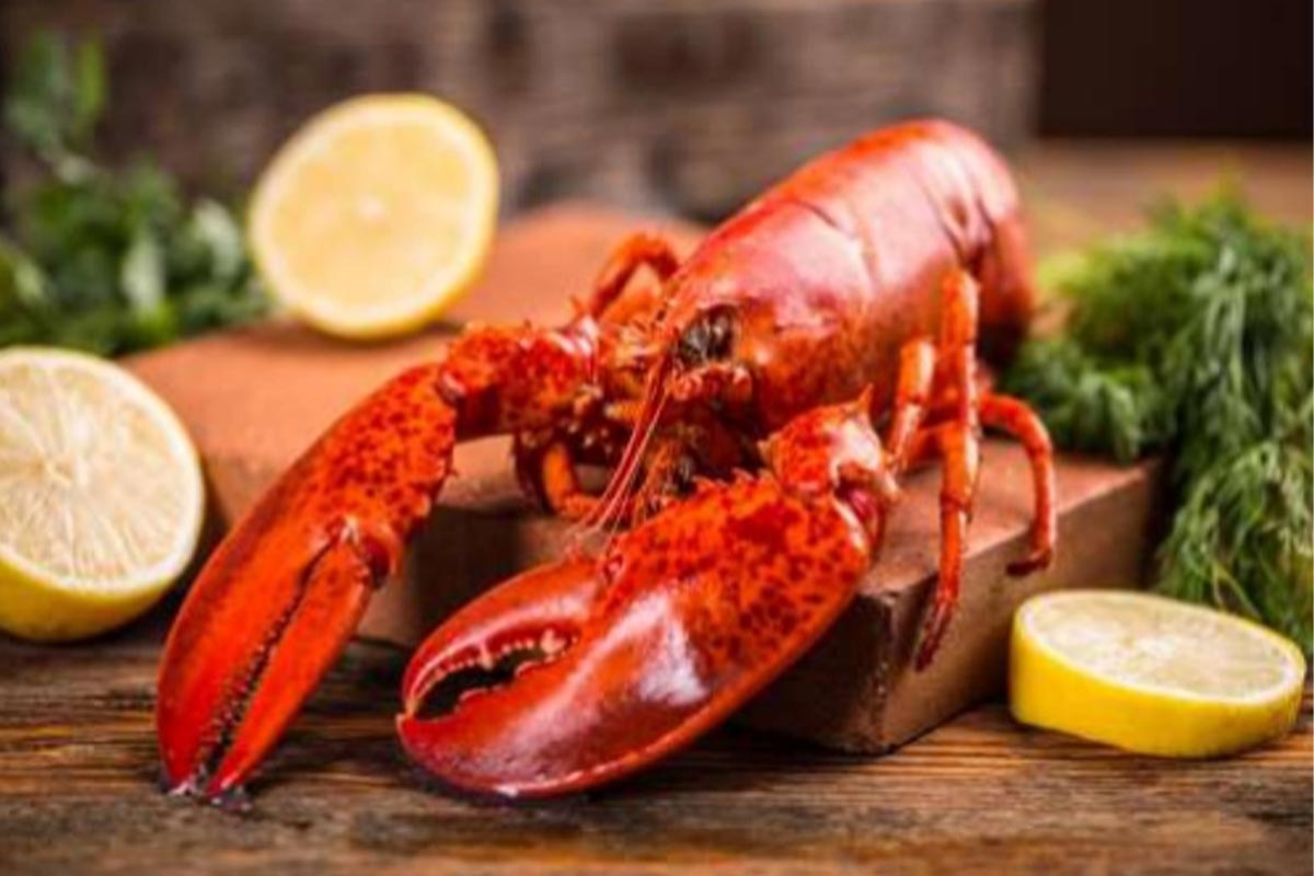Festival du Homard commence le 16 juillet