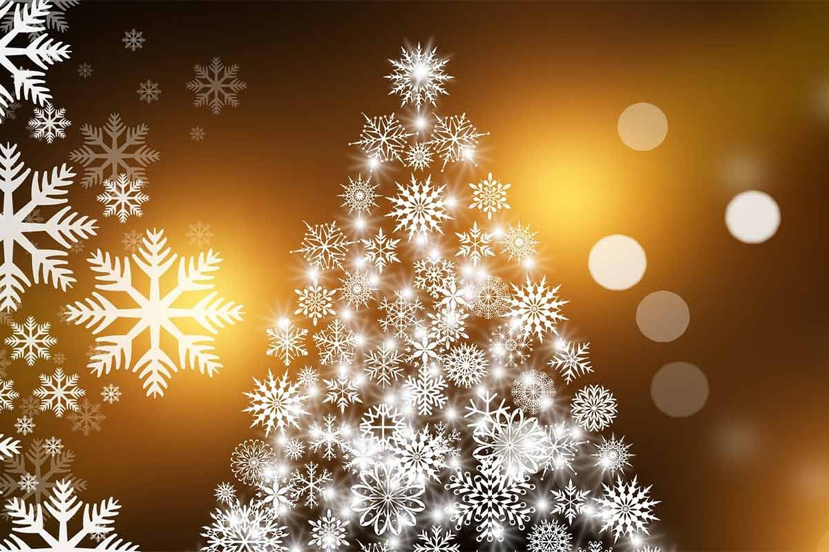 Menu de Noël 2026   à emporter 